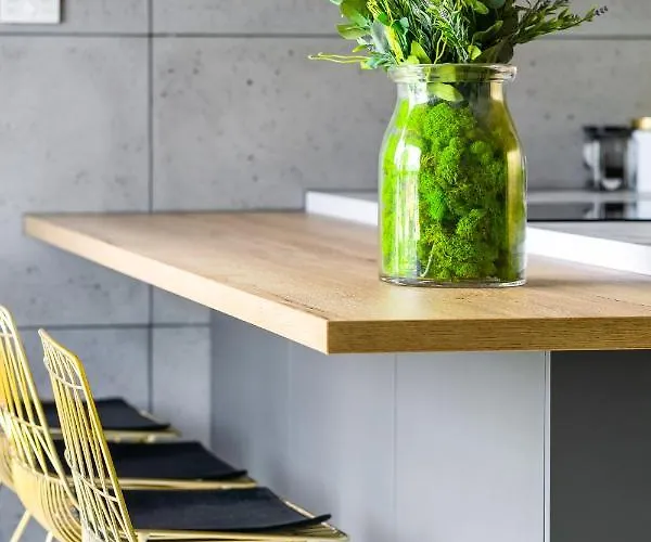 El - Aries * 포즈난